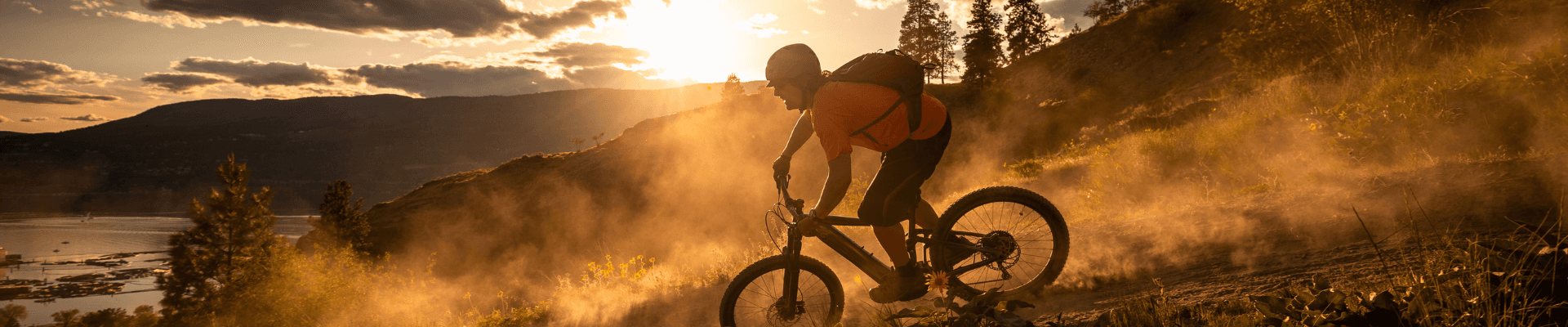 ActivityPay - saas in Reno, Nevada