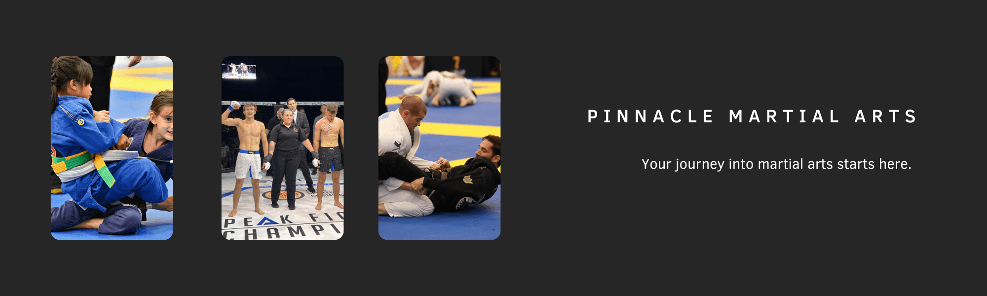 Pinnacle Martial Arts - martial-arts in San Antonio, Texas